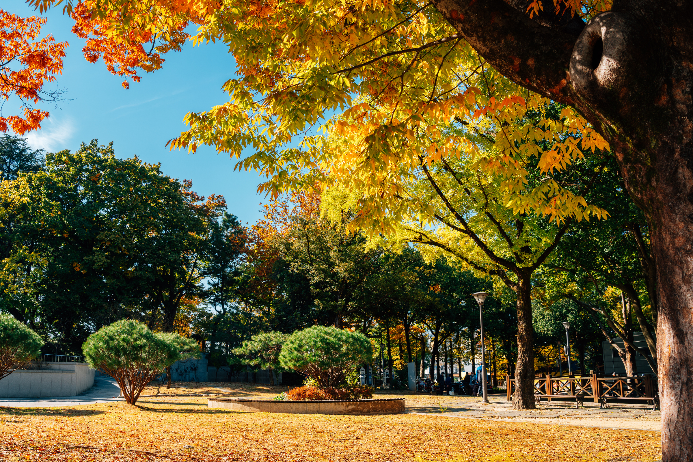 gwangju, honam (2).webp